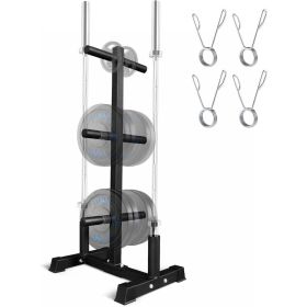 Weight Plate Tree Holder & Vertical Barbell Storage Rack For Home Gym, 6-Pegs Weight Plate Barbells